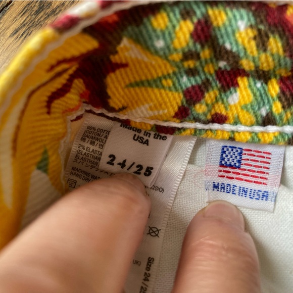 Iconic American Apparel sunflower shorts (size 24/25) - Picture 8 of 11